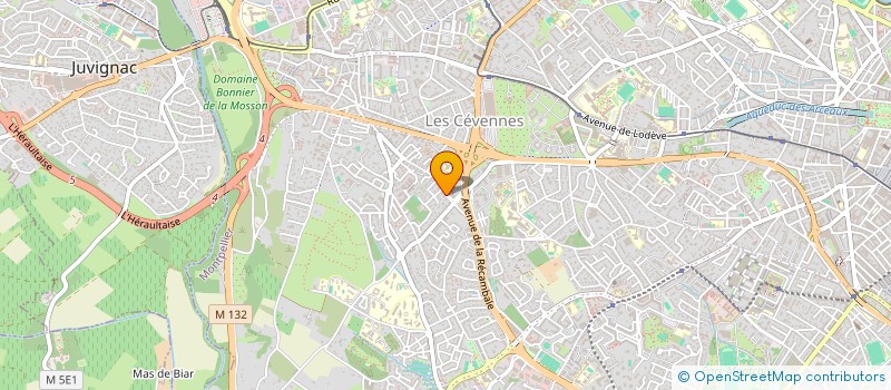 localisation de l'entreprise MONSIEUR SEYDINA SAMB  MONTPELLIER