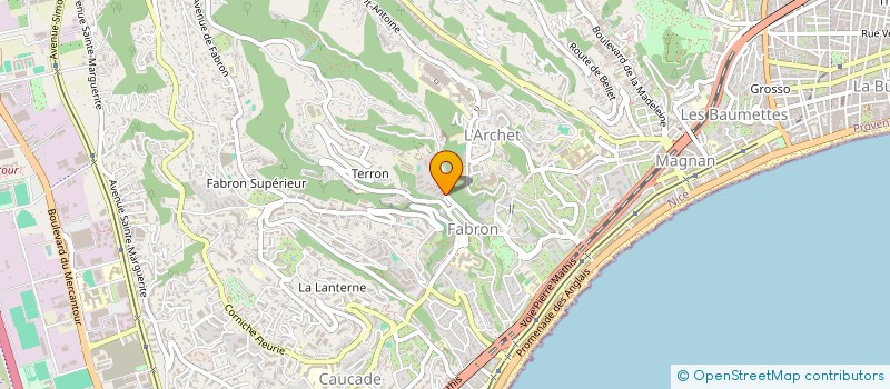 localisation de l'entreprise MONSIEUR SEYED AMIRHOSSEIN MOGHADASZADEH  NICE