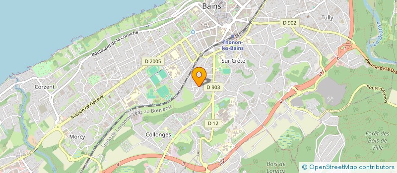 localisation de l'entreprise MONSIEUR SEYFI YASAR à THONON-LES-BAINS