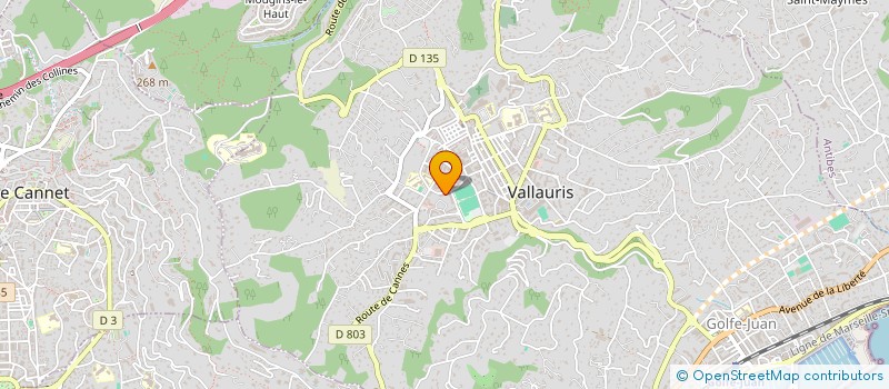 localisation de l'entreprise MONSIEUR SEYYID-ALI SBAIHIA  VALLAURIS