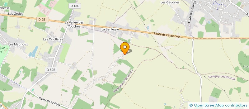 localisation de l'entreprise MONSIEUR SEZGIN ANIL  MIGNALOUX-BEAUVOIR