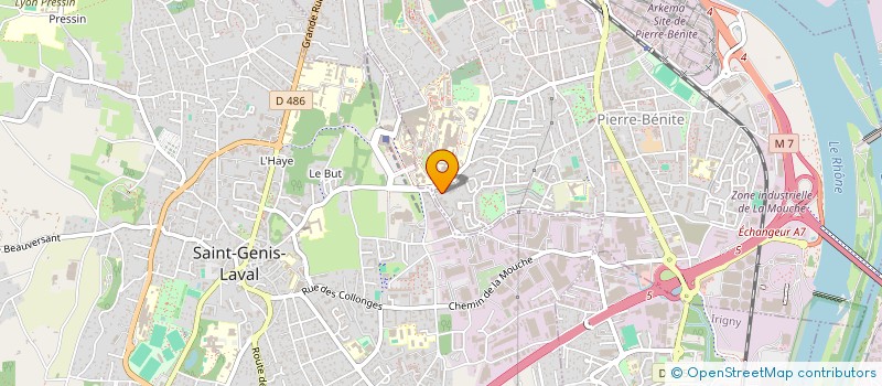 localisation de l'entreprise MONSIEUR SHANNON BEAULE  OULLINS-PIERRE-BENITE