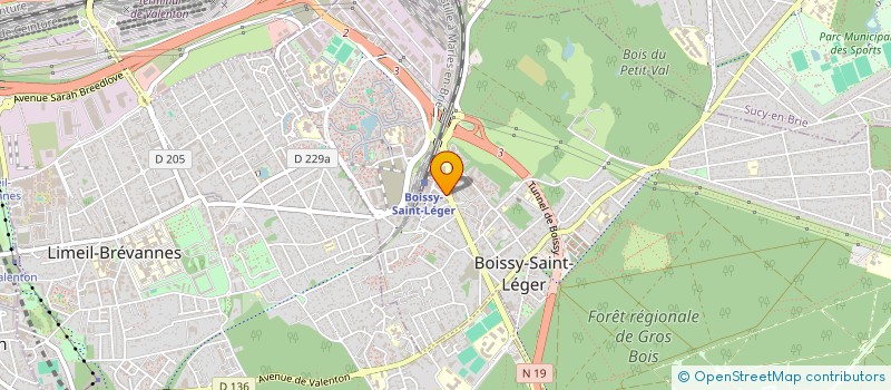 localisation de l'entreprise MONSIEUR SHAUNN-ROSS PALLY à BOISSY-SAINT-LEGER
