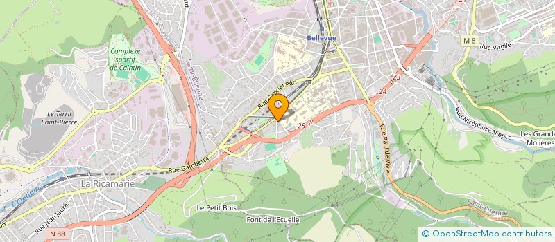 localisation de l'entreprise MONSIEUR SHIRIN NIAZI  SAINT-ETIENNE