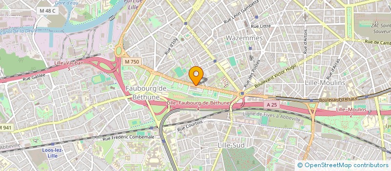 localisation de l'entreprise MONSIEUR SHOAIBULLAH NIAZI à LILLE