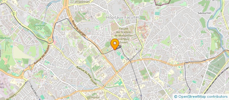 localisation de l'entreprise MONSIEUR SHUNCHANG WANG à MONTPELLIER