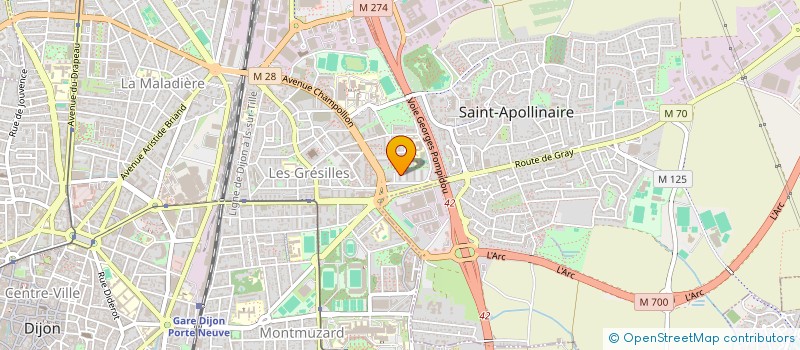 localisation de l'entreprise MONSIEUR SID ALI BENAZIZ à DIJON