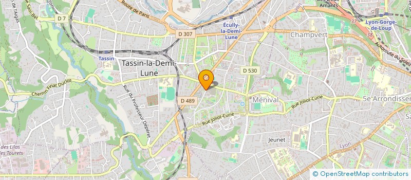 localisation de l'entreprise MONSIEUR SID MAROUF ARAIBI à TASSIN-LA-DEMI-LUNE