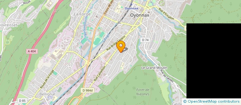 localisation de l'entreprise MONSIEUR SIH CAKMAK à OYONNAX