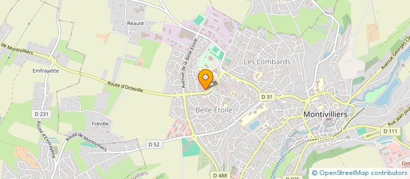 localisation de l'entreprise MONSIEUR SILOUAN BUREY  MONTIVILLIERS