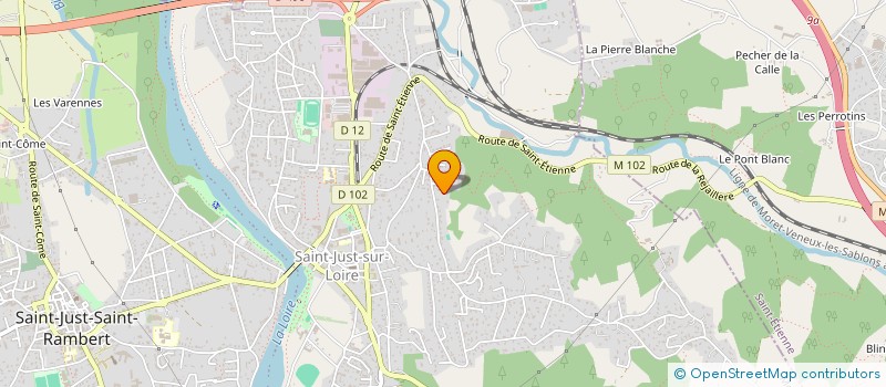 localisation de l'entreprise MONSIEUR SILVIO MAGNI  SAINT-JUST-SAINT-RAMBERT