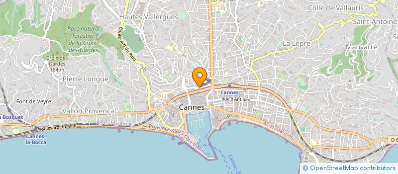 localisation de l'entreprise MONSIEUR SIMEON BRAUN  CANNES