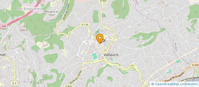 localisation de l'entreprise MONSIEUR SIMEON ELENA à VALLAURIS
