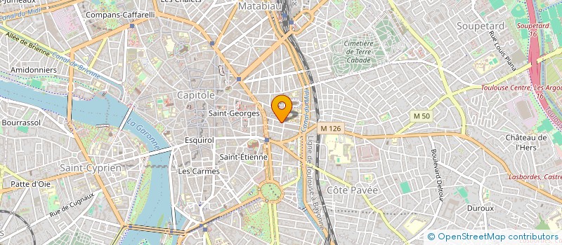 localisation de l'entreprise MONSIEUR SIMON BOISSON  TOULOUSE