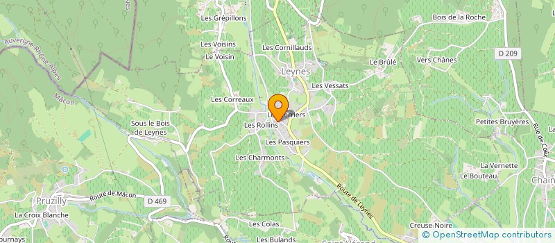 localisation de l'entreprise MONSIEUR SIMON BOURGEOIS  LEYNES