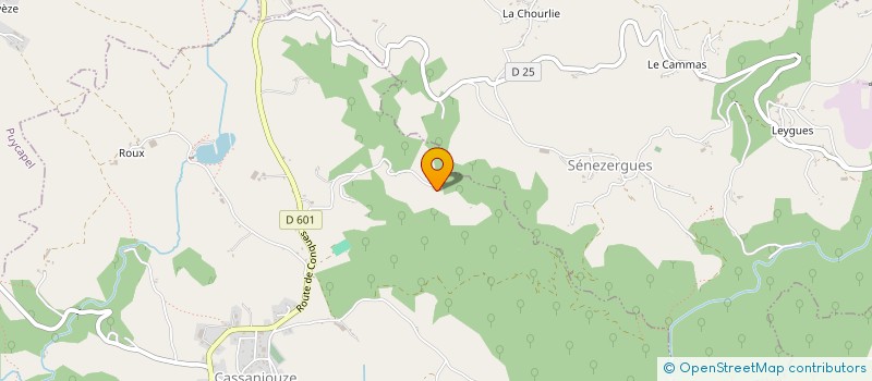 localisation de l'entreprise MONSIEUR SIMON COTTIN à CASSANIOUZE