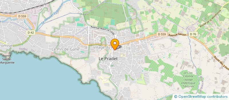 localisation de l'entreprise MONSIEUR SIMON FAGES  LE PRADET