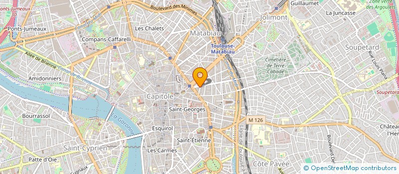 localisation de l'entreprise MONSIEUR SIMON HALTZ  TOULOUSE