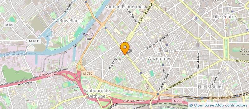 localisation de l'entreprise MONSIEUR SIMON LACOTE à LILLE