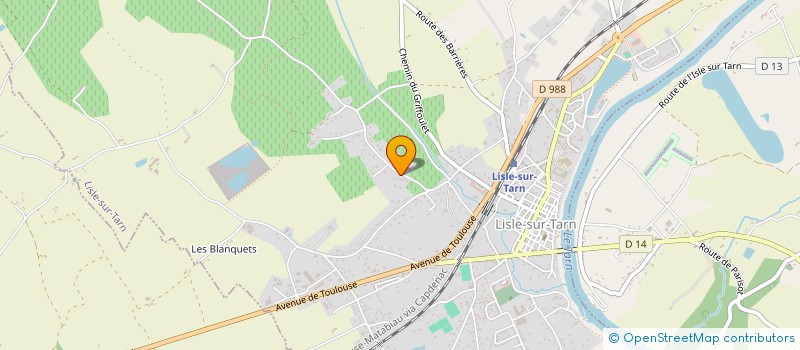 localisation de l'entreprise MONSIEUR SIMON MARTINS à LISLE-SUR-TARN