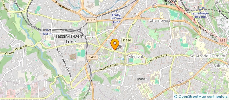 localisation de l'entreprise MONSIEUR SIMON OUZIEL  TASSIN-LA-DEMI-LUNE