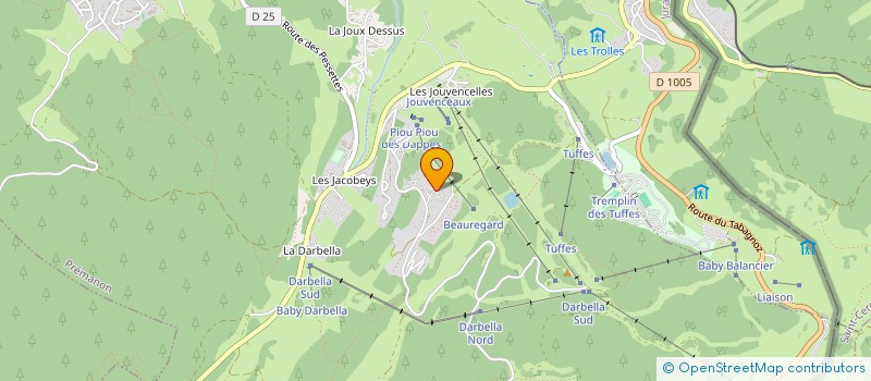 localisation de l'entreprise MONSIEUR SIMON PARALS  PREMANON