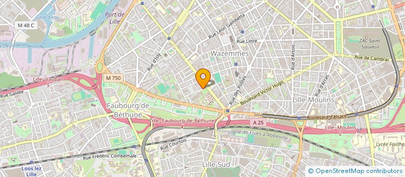 localisation de l'entreprise MONSIEUR SIMON POLIT à LILLE
