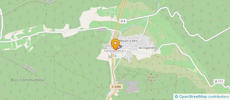 localisation de l'entreprise MONSIEUR SIMON RICHARD  VALLIGUIERES