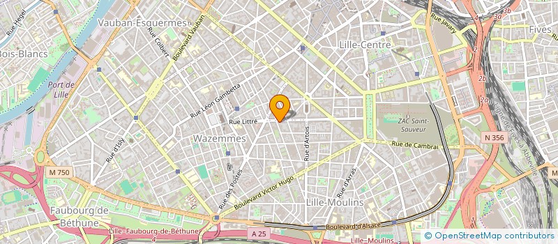 localisation de l'entreprise MONSIEUR SIMON SARAZIN à LILLE