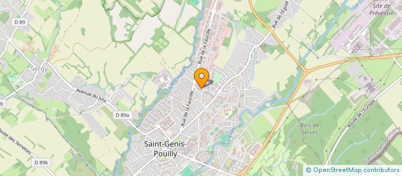 localisation de l'entreprise MONSIEUR SIMON SORIN  SAINT-GENIS-POUILLY