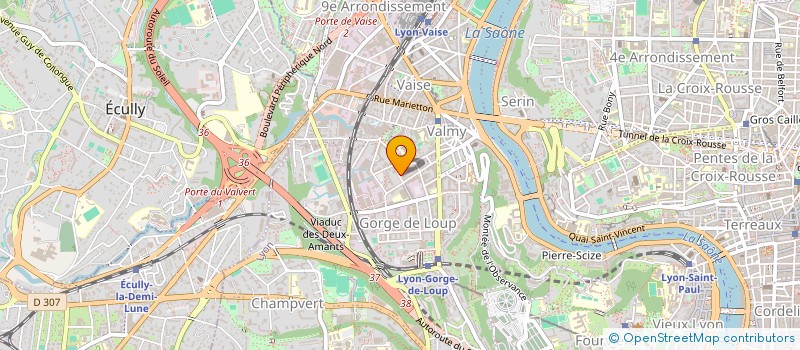 localisation de l'entreprise MONSIEUR SIMON VAN ACCOLEYEN  LYON