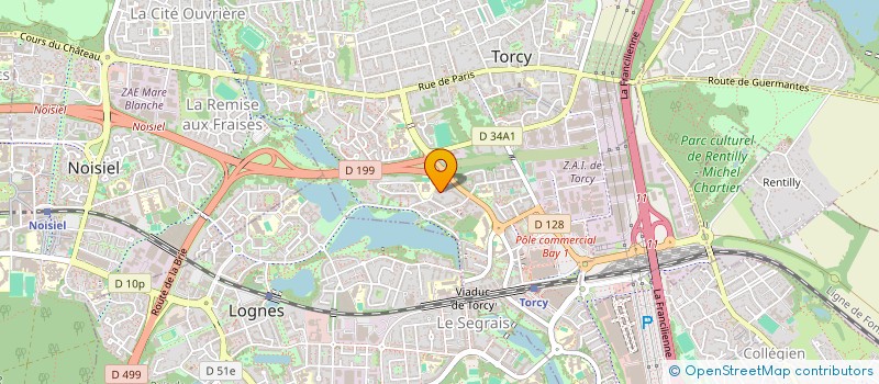 localisation de l'entreprise MONSIEUR SIN LEUNG à TORCY