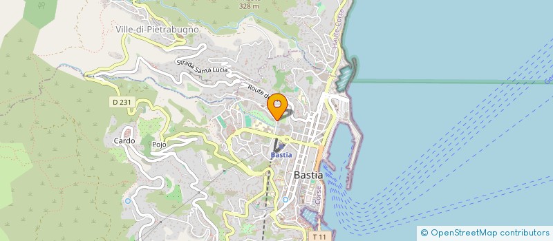 localisation de l'entreprise MONSIEUR SKANDER HAMMEMI  BASTIA