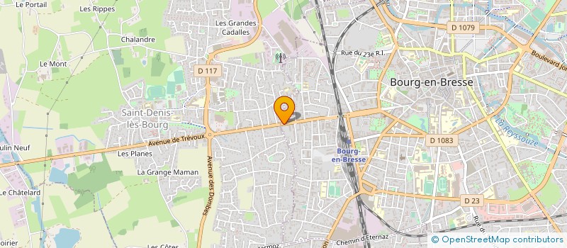 localisation de l'entreprise MONSIEUR SKENDER DUSHAJ à SAINT-DENIS-LES-BOURG