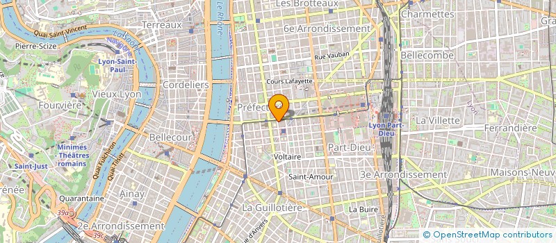 localisation de l'entreprise MONSIEUR SLAVOJKO BRKOVIC  LYON