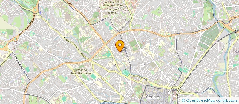 localisation de l'entreprise MONSIEUR SLIM BEN DHIAF à MONTPELLIER