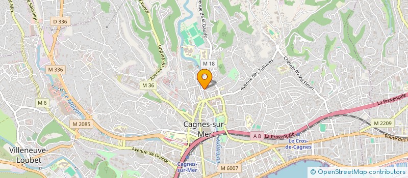 localisation de l'entreprise MONSIEUR SLIM KRIFA  CAGNES-SUR-MER