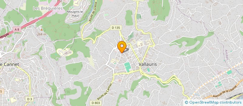 localisation de l'entreprise MONSIEUR SLIM SALMAOUI à VALLAURIS