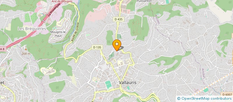 localisation de l'entreprise MONSIEUR SMAEL MENADI à VALLAURIS