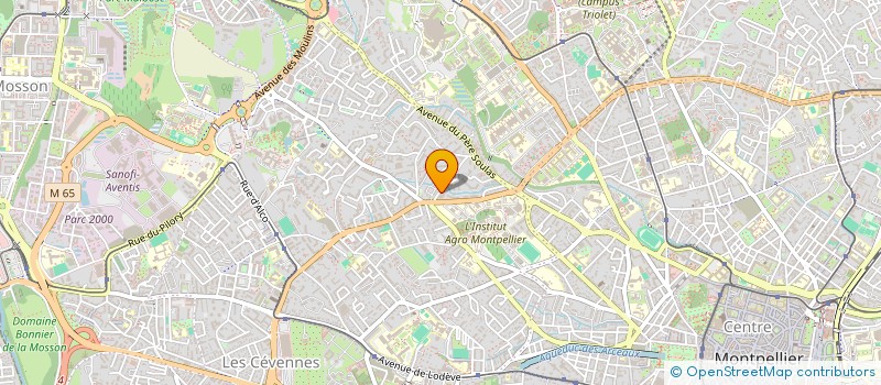 localisation de l'entreprise MONSIEUR SMAIL SOUHIR à MONTPELLIER