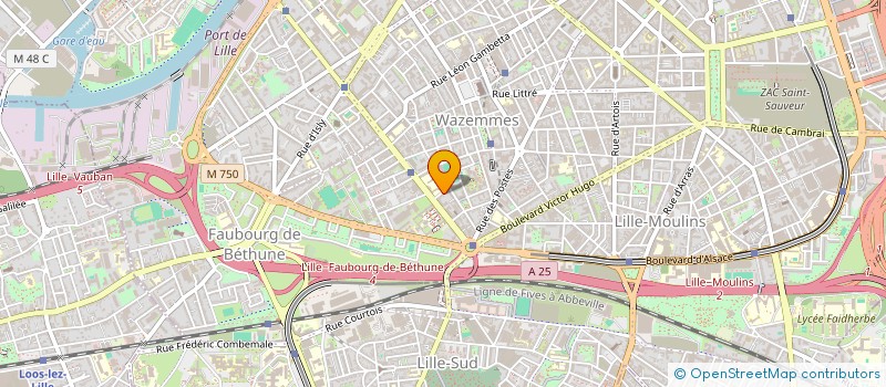 localisation de l'entreprise MONSIEUR SNC BAMENGA BESONGO LUYEYE à LILLE