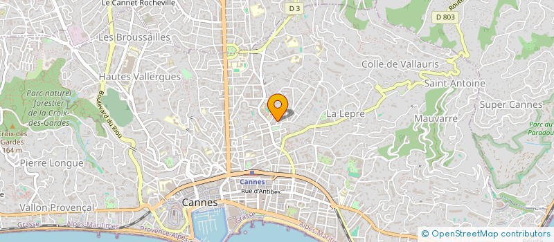 localisation de l'entreprise MONSIEUR SOFIANE AHMED  CANNES