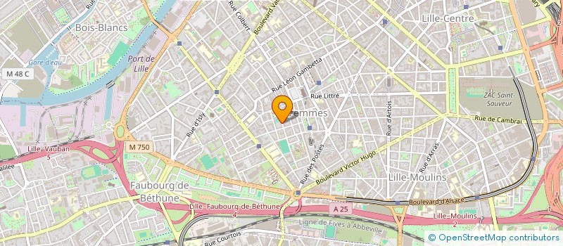 localisation de l'entreprise MONSIEUR SOFIANE HMIDA à LILLE