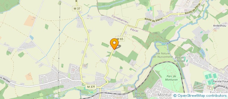 localisation de l'entreprise MONSIEUR SONY BAYER  PIBRAC