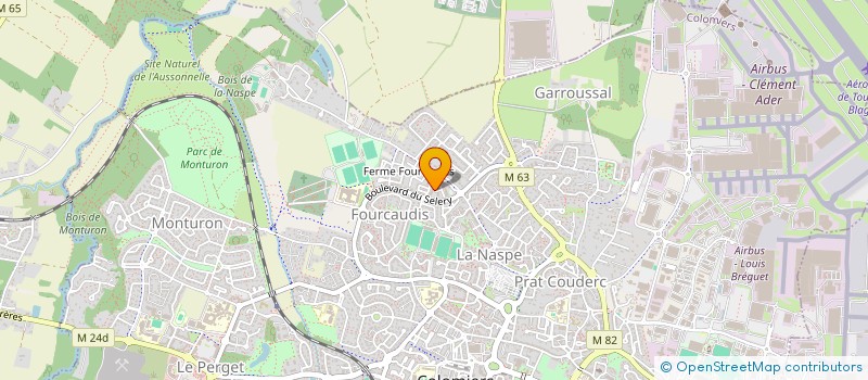 localisation de l'entreprise MONSIEUR SOPHIENE BAZINI à COLOMIERS