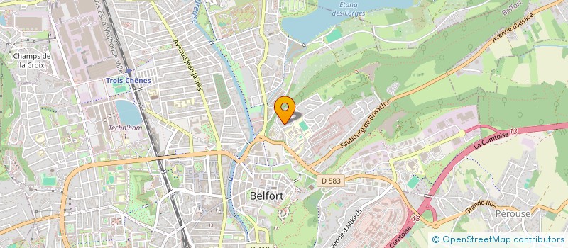 localisation de l'entreprise MONSIEUR SORIN MALINCENCO à BELFORT