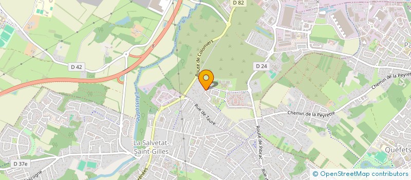 localisation de l'entreprise MONSIEUR SOUFIAN SOULIMANI  PLAISANCE-DU-TOUCH