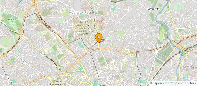 localisation de l'entreprise MONSIEUR SOUFIANE EL BOUZIDI à MONTPELLIER