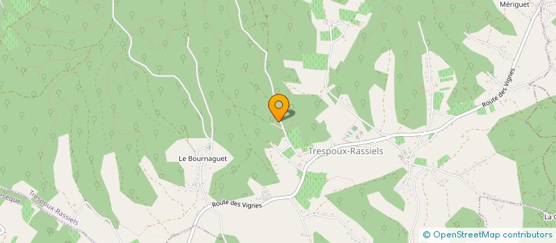 localisation de l'entreprise MONSIEUR SOUFIANE SOUIDI  TRESPOUX-RASSIELS