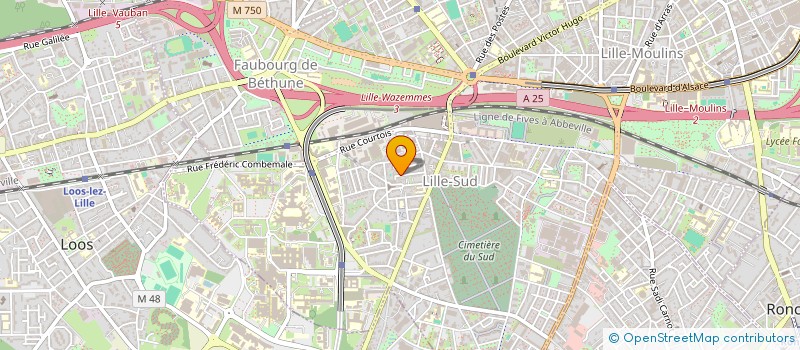 localisation de l'entreprise MONSIEUR SOUFIEN BOURKHIS à LILLE